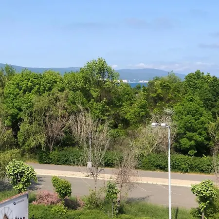 Celebrity Exclusive Cacao *