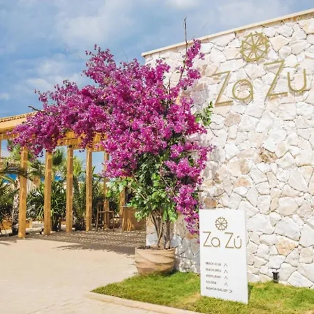 Celebrity Exclusive Cacao *