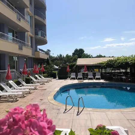 Celebrity Exclusive Cacao *